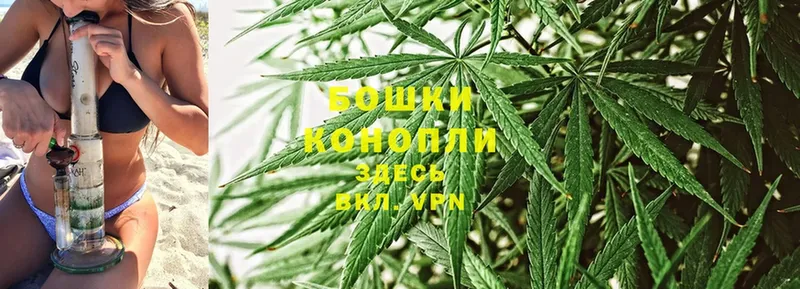 закладки  Выборг  МАРИХУАНА Ganja 